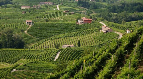 Le Colline del Prosecco sono patrimonio dell'Umanità