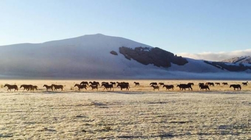 Anche l’ultimo stoico allevatore ha abbandonato il borgo di Castelluccio di Norcia