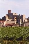 Tre Bicchieri del Gambero Rosso: il Soave cresce del 50%