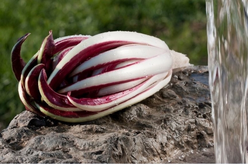 Il Radicchio Rosso di Treviso è un elisir di salute