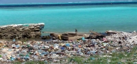 immagine: Troppa plastica monouso inquina il mare: interviene l’Europa