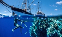 immagine: La plastica avvelena l’oceano: nel 2050 peserà più dei pesci