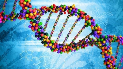 La pericolosa svolta della scienza che altera il DNA