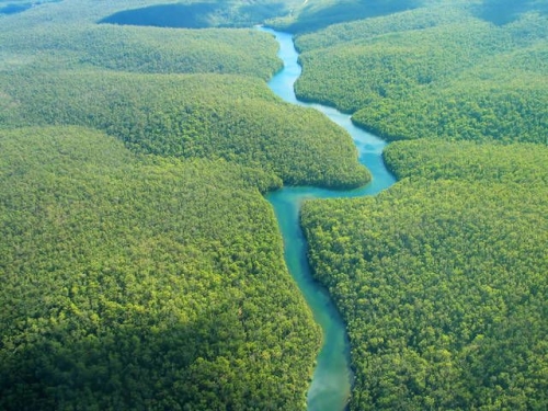 Allarme clima: la foresta amazzonica è malata