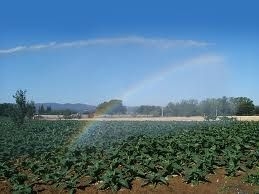 Il Cipe conferma 295 milioni per l’irrigazione italiana